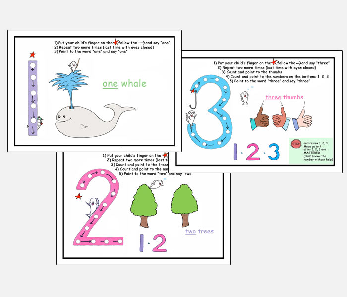 Bumpy Books Flash Card Download Series Three